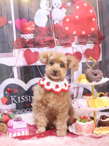 20250201ラムちゃん